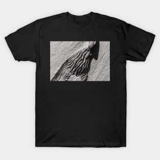 Kelp and Sand T-Shirt